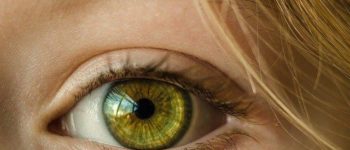 Closer look of a healthy eye and why we should take care of our eyes