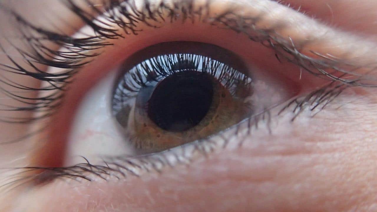 Closer look of a healthy eye