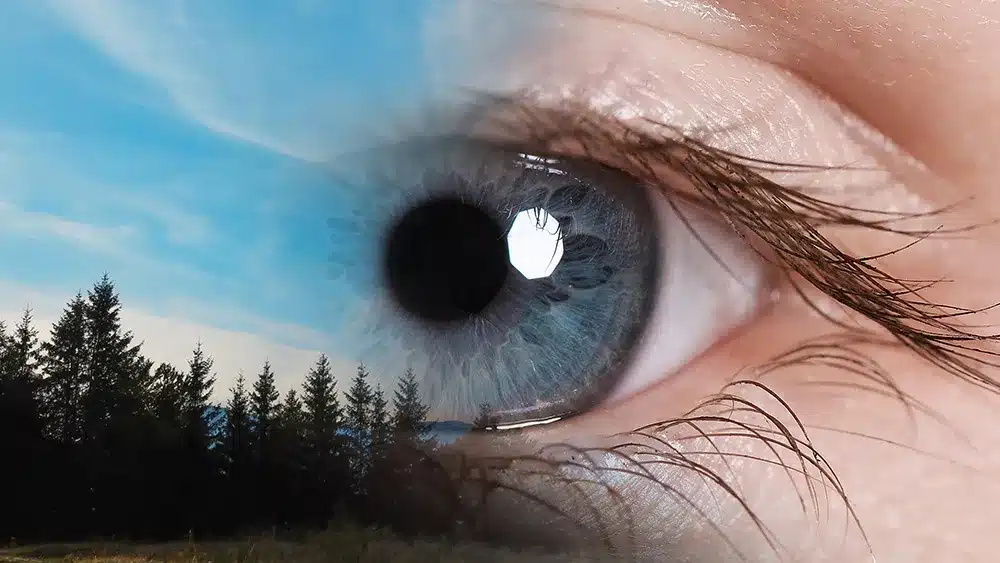 RLE vs. LASIK Eye Surgery